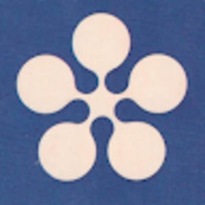 Meet your Posher, Kristin